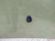 Waschwasserdüse Scheibenreinigung Citroen C3, I 2002.02 - 2005.06 Gebraucht,