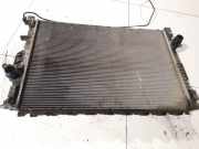 Wasserkühler Ford Galaxy, Mk III 2006.04 - 2010.06 Gebraucht,