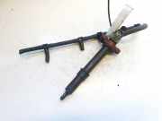 Einspritzdüse Citroen C5, II 2008.02 - 2011.01 9688438580, EJBR06001