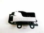 Türinnengriff - Vorne Linke Ford Focus, 2004.11 - 2008.06 3M51R22601BB, 3M51-R22601-BB