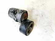 Spannrolle Volkswagen Golf, IV 1997.08 - 2003.10 dapv2767, j5001 ALH