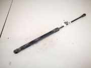Gasdruckfeder Kofferraum BMW 1-Series, E81 E82 2003.09 - 2006.09 51247060622,