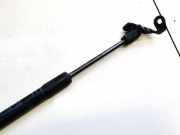 Gasdruckfeder Kofferraum BMW 5-Series, F07F10 F11 2010.03 - 2016.12 5123730911703, 51237309117-03