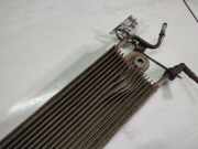 Kraftstoffkühler Kraftstoff Kühler Volkswagen Passat, B6 2005.08 - 2010.11 Gebraucht , BL1H