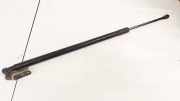 Gasdruckfeder Kofferraum Nissan Note, 2006.03 - 2013.06 904509U00C,904509U00C