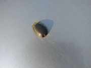 Waschwasserdüse Scheibenreinigung Nissan X-Trail, 2001.06 - 2007.06 Gebraucht,