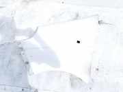 Kotfl?gel - Vorne Linke Renault Trafic, X83 2001.03 - 2006.08 Balta,