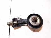 Spannrolle Nissan Murano, Z50 2003.08 - 2008.06 Gebraucht,