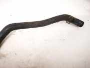 K?hlerschlauch Honda Accord, 1993.10 - 1997.12 Gebraucht,