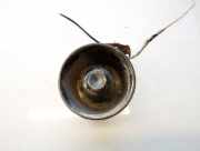 Alarmanlage Toyota Yaris Verso, 1999.11 - 2005.09 Gebraucht,