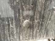 Waschwasserdüse Scheibenreinigung SAAB 9-3, 1998.02 - 2002.09 Gebraucht,