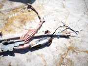 Kopfairbag - Vorne Rechts Mazda CX-7, 2006.01 - 2012.12 eg21rh,