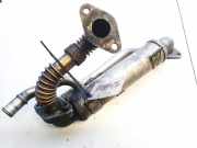 Abgaskühler AGR-Kühler Volkswagen Passat, B5+ 2000.11 - 2005.05 028131521ad, AVF