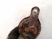 Hupe BMW 5-Series, E39 1995.11 - 2003.06 e901157,