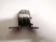 T?rscharnier Hinten Renault Laguna, III 2007.10 - 2010.11 Gebraucht,