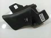 Innenausstattung Nissan Primera, P12 2002.01 - 2008.12 66901AV600,66901 AV600