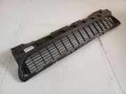 Kühlergrill - Vorne Center Mercedes-Benz A-CLASS, W169, 2004.09 - 2008.09 1698850023,169 885 00 23