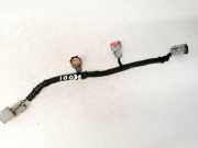 Kabelbaum Hyundai Santa Fe, 2006.03 - 2012.09 Gebraucht,