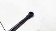 Gasdruckfeder Kofferraum Toyota Prius, 2003.06 - 2009.01 689600w430, 2601wl 0445n