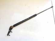 Gasdruckfeder Kofferraum Toyota Avensis, I 1997.09 - 2000.10 6895005040, 68950-05040