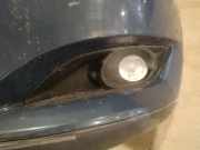 Kühlergrill - Vorne Linke Toyota Auris, I E15 2006.10 - 2012.10 Gebraucht,