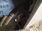 Türscharnier Hinten Subaru Legacy, BM, BR 2009.09 - 2014.06 Gebraucht,