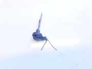 Sensor Innentemperatur Peugeot 307, 2005.06 - 2008.06 102319023,