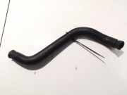 K?hlerschlauch Mercedes-Benz w208, 1997.01 - 2002.06 202882094,