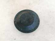 Blende Scheinwerfer - Vorne Renault Scenic, II 2003.06 - 2006.06 153874,