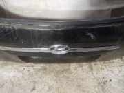 Kennzeichenleuchte Hyundai Tucson, I 2004.08 - 2009.06 Gebraucht,