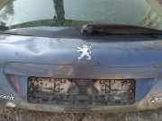 Kennzeichenleuchte Peugeot 207, 2006.02 - 2009.06 Gebraucht,