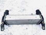 Ladeluftkühler Ford Transit Connect 2002.06 - 2008.12 Gebraucht,