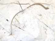 Halteband Kraftstoffbehälter Mercedes-Benz ML, W164 2009.07 - 2011.06 facelift Gebraucht,