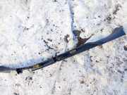 Schwellerverkleidung - Hinten Linke Toyota Corolla Verso, III 2004.05 - 2007 679180f010,