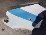 Kotflügel - Vorne Linke Renault Master, II 1997.01 - 2002.12 Gebraucht,