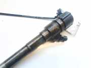 Einspritzdüse Hyundai Santa Fe, 2006.03 - 2012.09 3380027800,0445110254