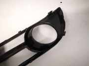 Kühlergrill - Vorne Rechts Skoda Roomster, I 2006.01 - 2010.05 Gebraucht,