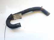 K?hlerschlauch Audi A8, D3 2002.09 - 2005.6 Gebraucht,