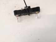Lampenträger Heckleuchte - Hinten Renault Laguna, I 1994.01 - 2001.03 Gebraucht,