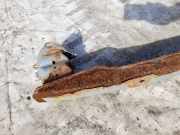 Stoßstangenträger hinten Citroen C3, I 2002.02 - 2005.06 Gebraucht,