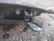 Türscharnier Vorne Peugeot 4007 2007 - 2012 Gebraucht,