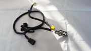 Kabelbaum Opel Antara, 2006.01 - 2010.08 F0616088, 136C6-09
