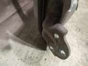 Türscharnier Vorne Hyundai Trajet, 2000.03 - 2008.07 Gebraucht,