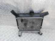 Ladeluftkühler Toyota RAV-4, II 2000.09 - 2005.11 Gebraucht,