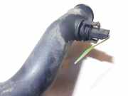 Intercooler Schlauch Mercedes-Benz A-CLASS, W168, 2001.06 - 2004.09 facelift A1685280108, 310181-2