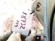 Kühlerlüfter Lüftermotor Fiat Bravo, 2006.11 - 2014 882300200,