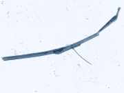 Windschutzscheibe Scheibenwischer Volvo S60, 2000.01 - 2005.01 8624269, 8624246