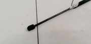 Gasdruckfeder Kofferraum Fiat Stilo, 2001.10 - 2007.01 8357NO0250N, 46784590