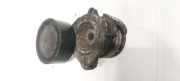 Spannrolle Opel Antara, 2006.01 - 2010.08 96440519,f556587