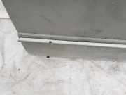 Zierleiste T?r Zier-Schutzleiste - Vorne Rechts Chrysler 300, I 1998.11 - 2004.12 Gebraucht,